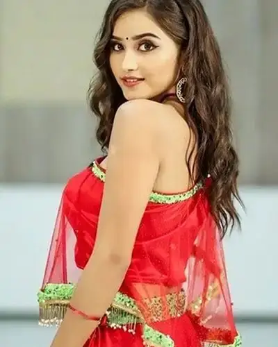 Call Girls Service Nevasa